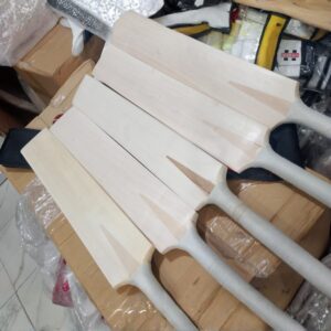 Cricket Bats